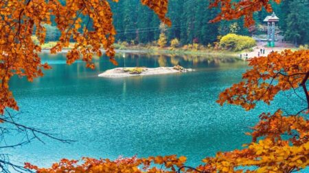 Краєвид на озеро Синевир восени зверху, з відбиттям кольорового лісу у спокійній воді Карпат. Автор фото - olha.shevchuk