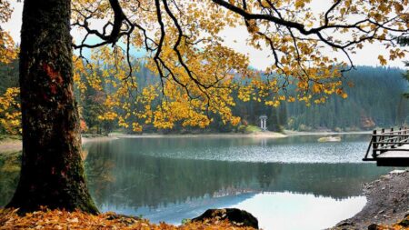 Осіннє озеро Синевир у Карпатах — одне з найкрасивіших місць України восени. ТОП-10 місць куди поїхати восени